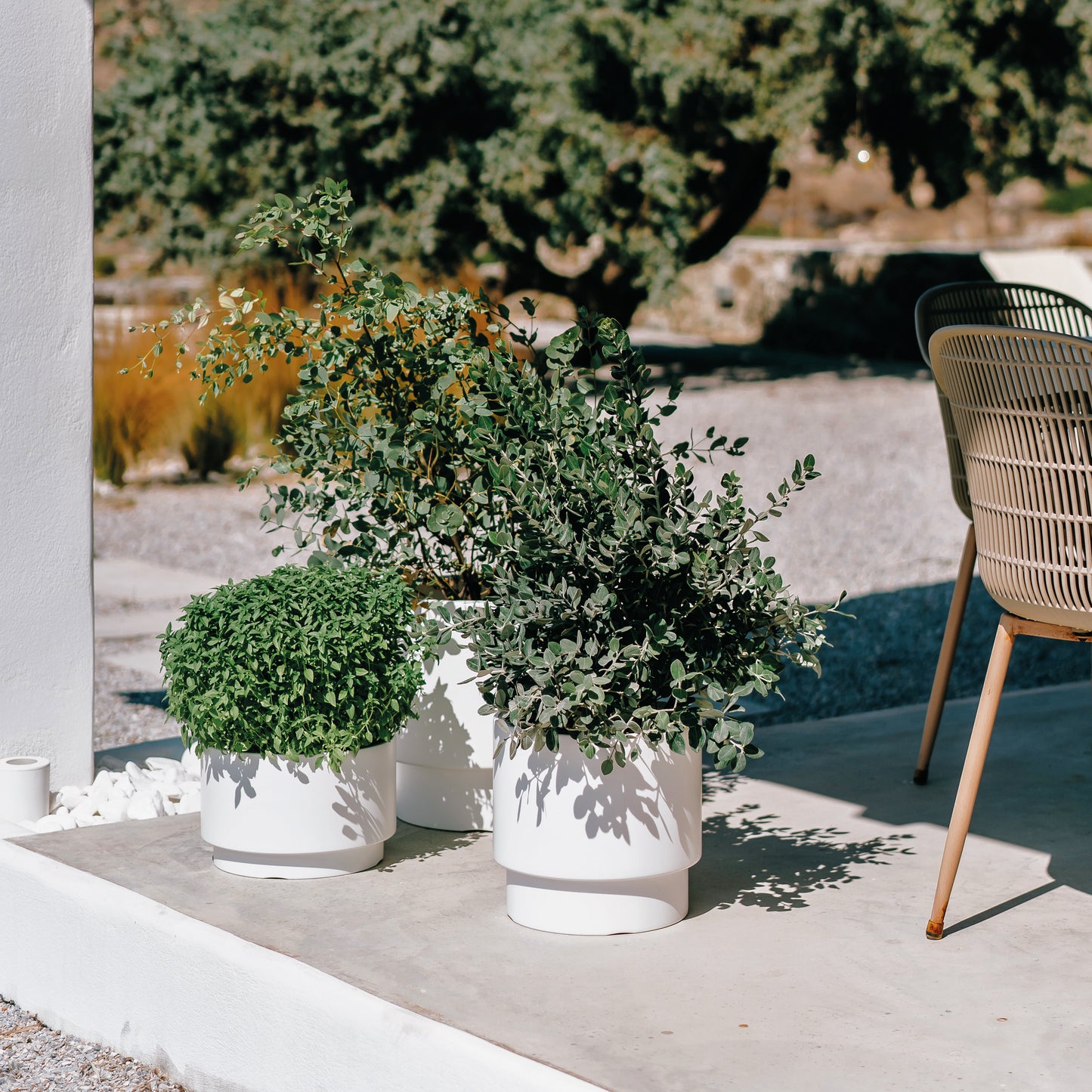 Happy Flower Blumentopf mit Einsatz