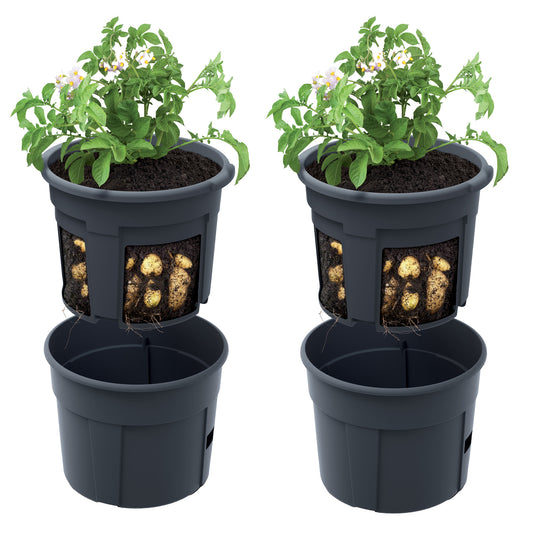 Happy Flower Pflanzkübel für Kartoffeln