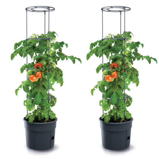 Happy Flower Pflanzkübel für Tomaten