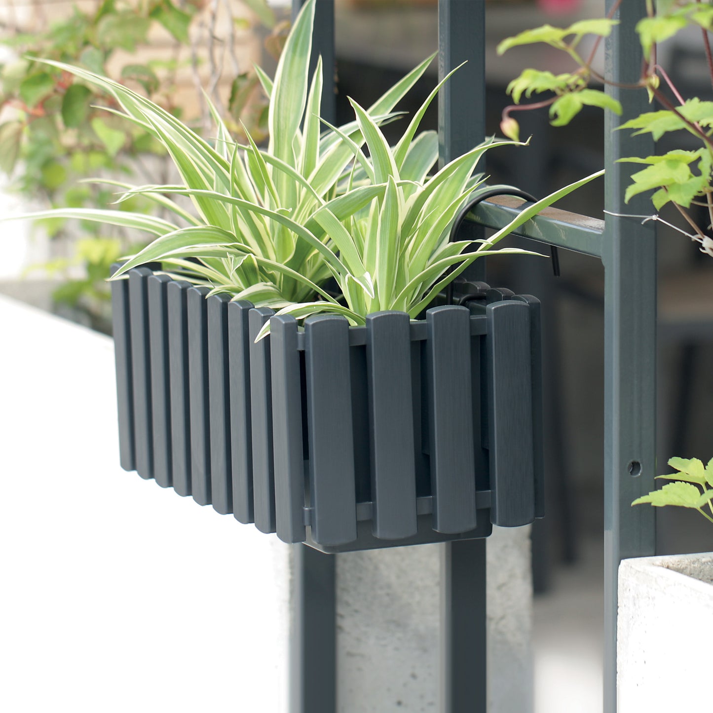 HappyFlower Balkonkasten mit Bewässerungssystem und Gummistopfen – Pflanzkasten für Geländer (38 / 58 cm), in 4 Farben