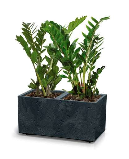 Happy Flower Sierra Case Pflanzkübel – Modularer Sichtschutz in Beton-Optik mit Lenkrollen
