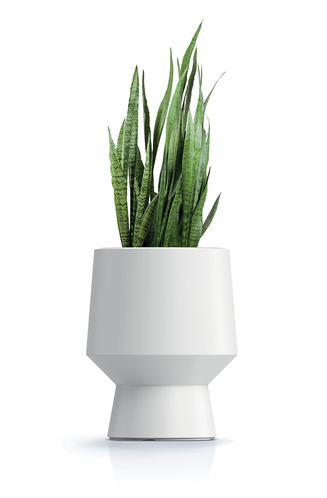 HappyFlower Design-Pflanzkübel – Matte Glatt-Optik inkl. Einsatz – Modern & Frostsicher