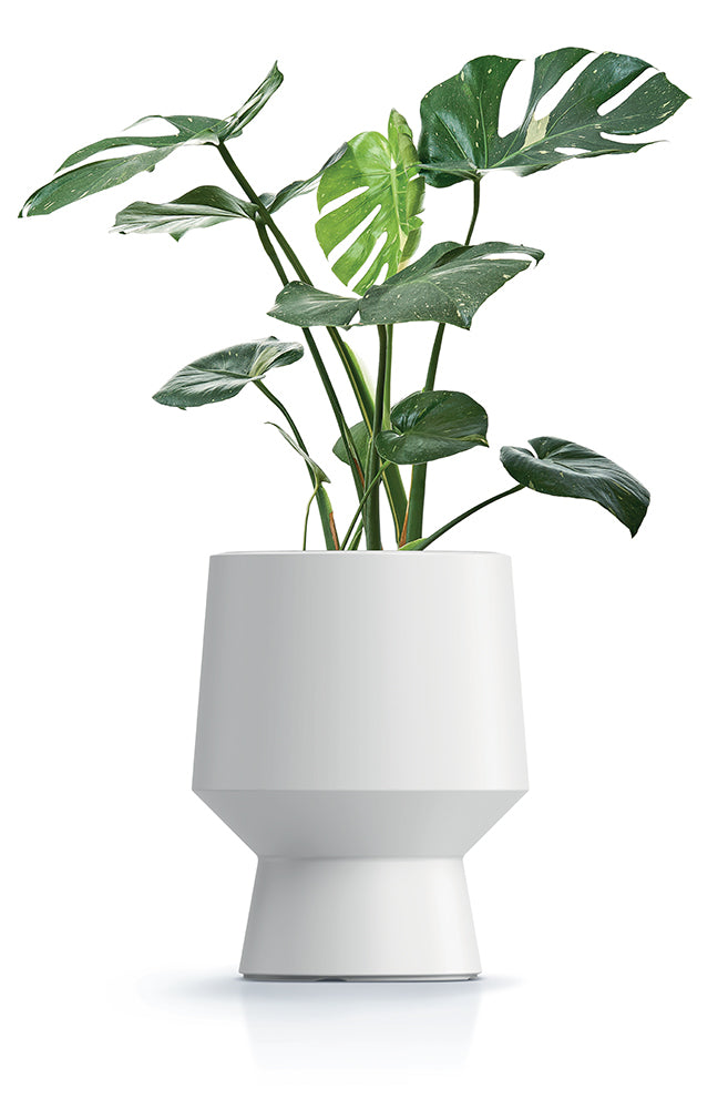 HappyFlower Design-Pflanzkübel – Matte Glatt-Optik inkl. Einsatz – Modern & Frostsicher