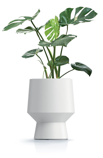 HappyFlower Design-Pflanzkübel – Matte Glatt-Optik inkl. Einsatz – Modern & Frostsicher