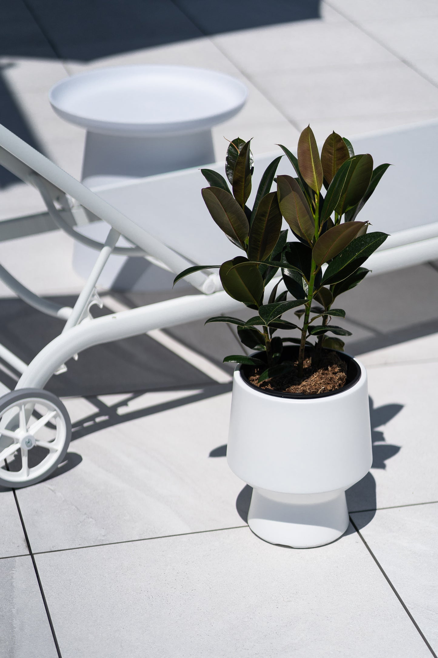 HappyFlower Design-Pflanzkübel – Matte Glatt-Optik inkl. Einsatz – Modern & Frostsicher