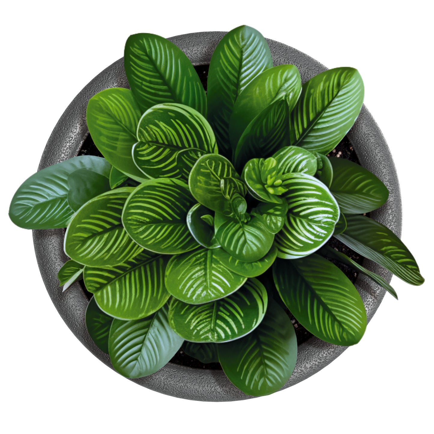 Happy Flower Origina Pflanzkübel & Säule – Geometrisches 3D-Design – Ø 24-40cm – Indoor & Outdoor