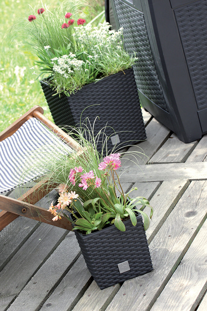 Happy Flower Blumentopf Rattan Optik Quadrat Valeriana