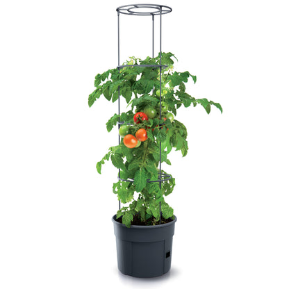 Happy Flower Tomato Grower IPOM Tomatentopf – mit Bewässerungssystem & Rankhilfe, Anthrazit
