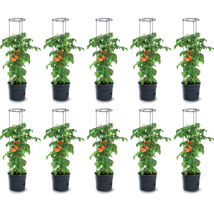 Happy Flower Tomato Grower IPOM Tomatentopf – mit Bewässerungssystem & Rankhilfe, Anthrazit