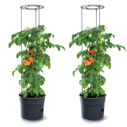 Happy Flower Tomato Grower IPOM Tomatentopf – mit Bewässerungssystem & Rankhilfe, Anthrazit