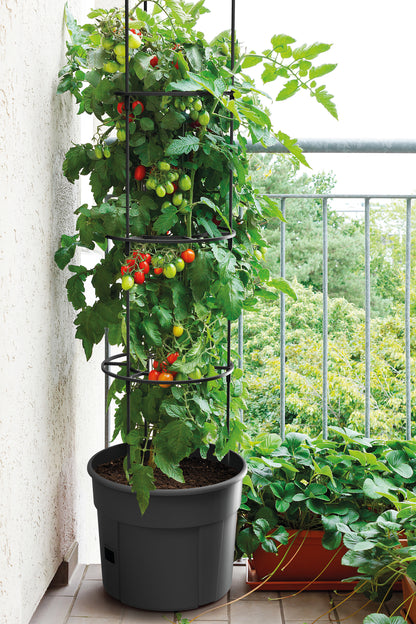 Happy Flower Tomato Grower IPOM Tomatentopf – mit Bewässerungssystem & Rankhilfe, Anthrazit