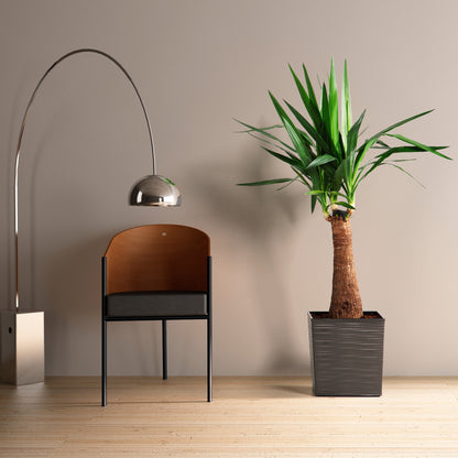 Blumentopf Meißel-Optik quadratisch – elegant, wetterfest & pflegeleicht
